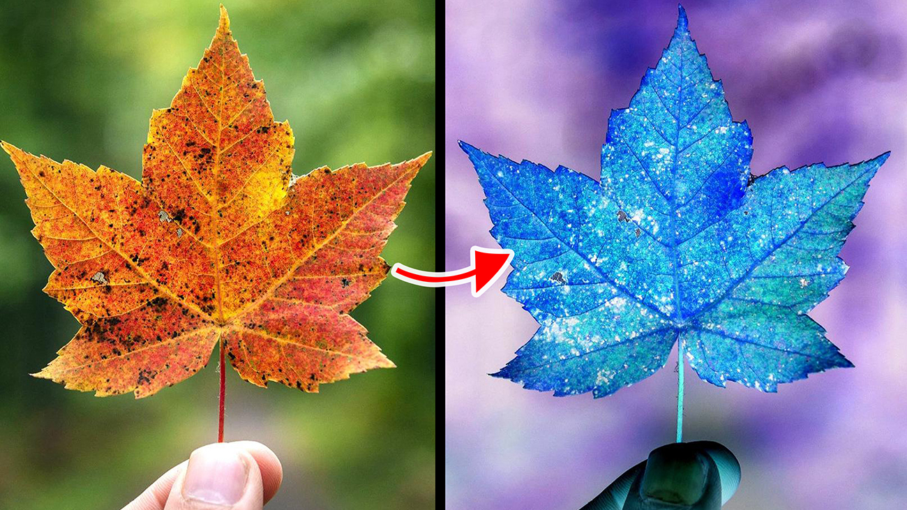 Blend Modes | Exclusion Blend Mode