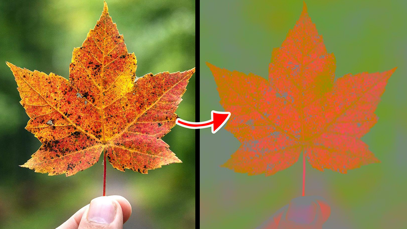 Blend Modes | Luminosity Blend Mode