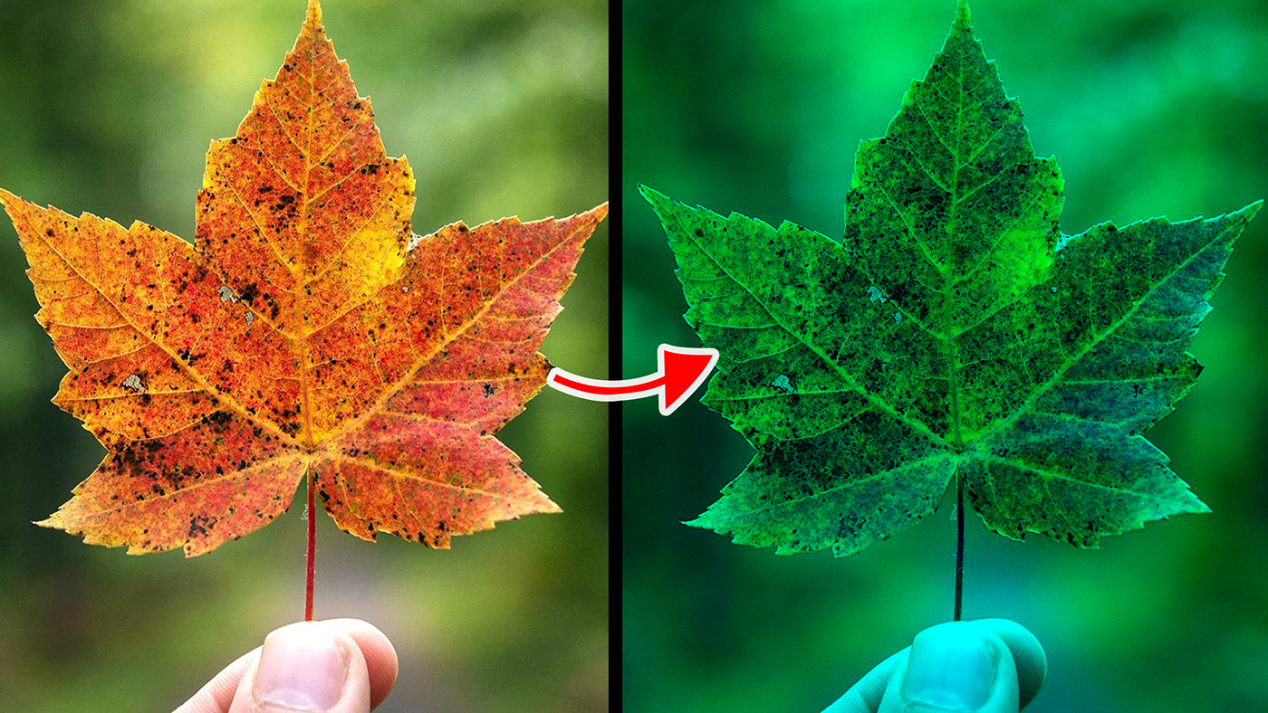 Blend Modes | Subtract Blend Mode