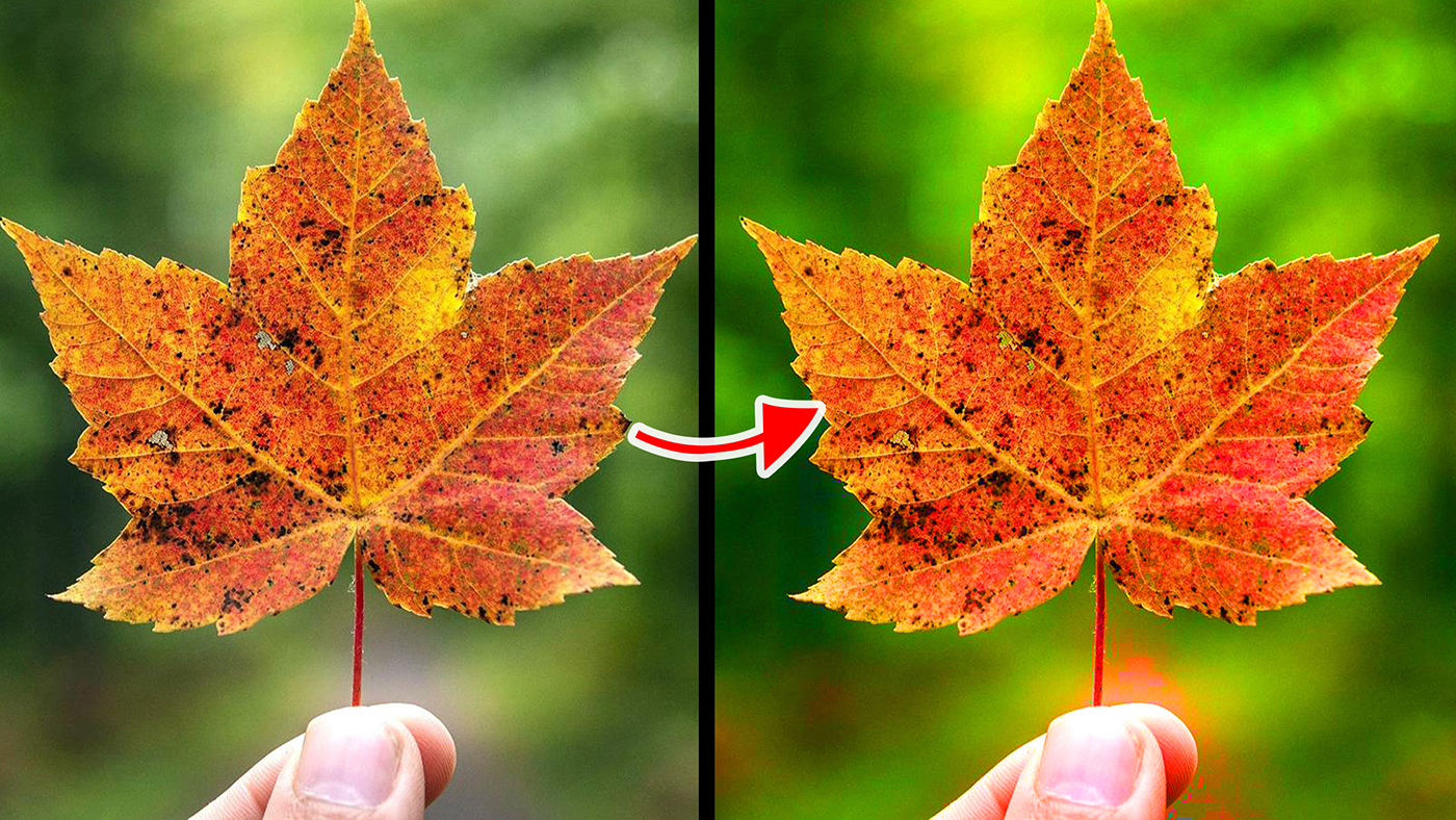 Blend Modes | Saturation Blend Mode