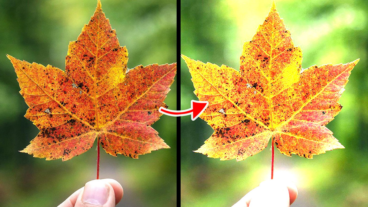 Blend Modes | Divide Blend Mode