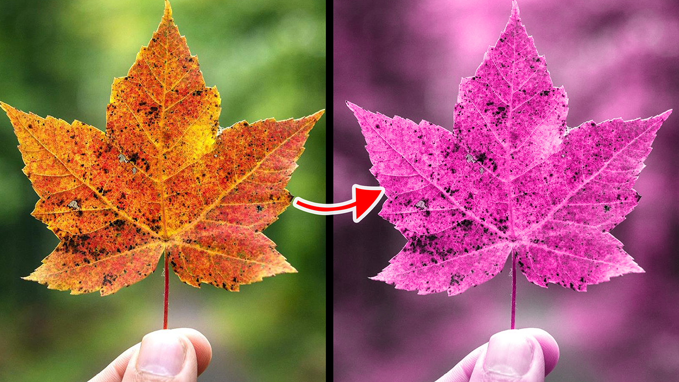 Blend Modes | Hue Blend Mode